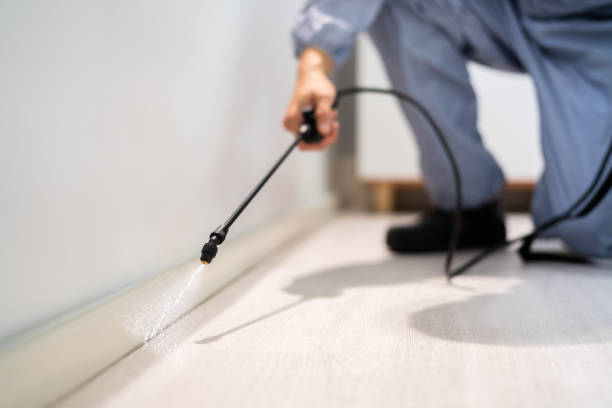 Licensed Mosquito Control service in Lake Bluff, IL - Show Me Pest Control