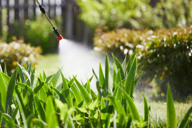 24/7 Emergency Mosquito Control experts in Lake Bluff, IL