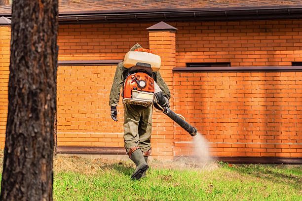 Top rated local Mosquito Control specialists in Lake Bluff, IL